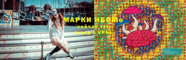 хмурый Алексин
