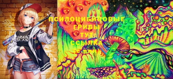 хмурый Алексин