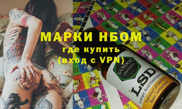 хмурый Алексин