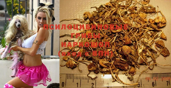 а пвп мука Алексеевка