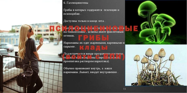 а пвп мука Алексеевка