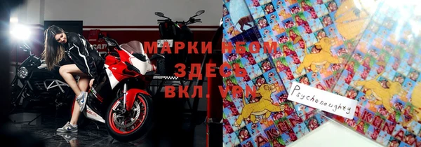 хмурый Алексин
