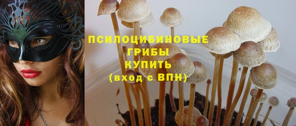 хмурый Алексин