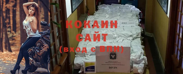 хмурый Алексин